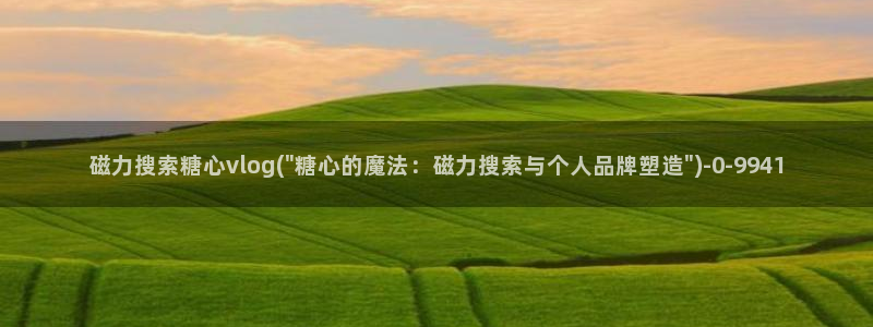 成人Vlog糖心h：磁力搜索糖心vlog(\