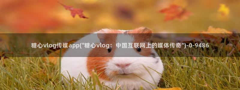 糖心vlog女神推荐:糖心vlog传媒a
